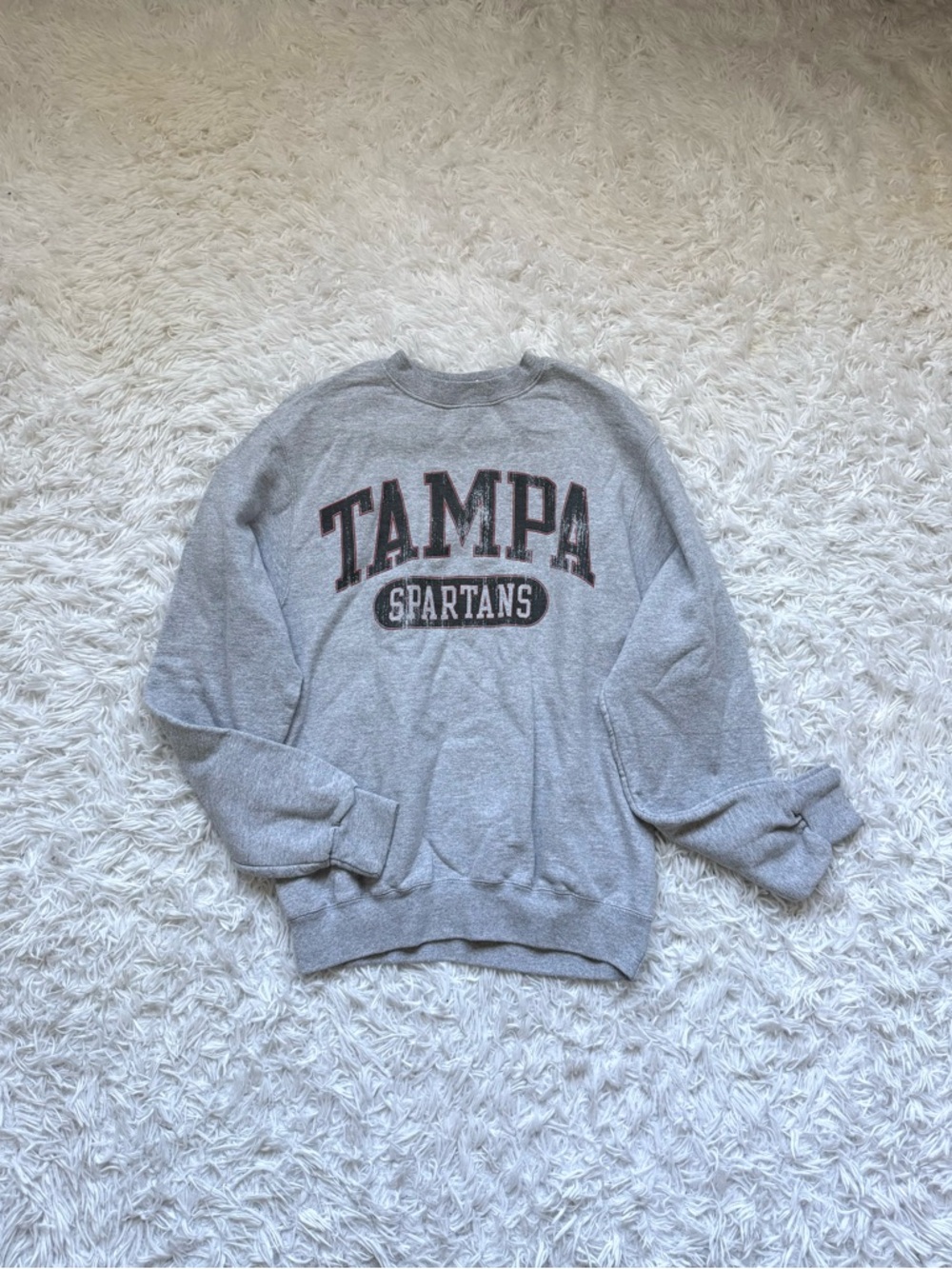 ‘Champion’ Tampa Spartans Crewneck Sweatshirt